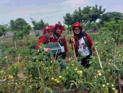 Pelatihan 1.000 Petani Muda: Asa Wujudkan Pertanian Maju, Mandiri, dan Modern di Indramayu